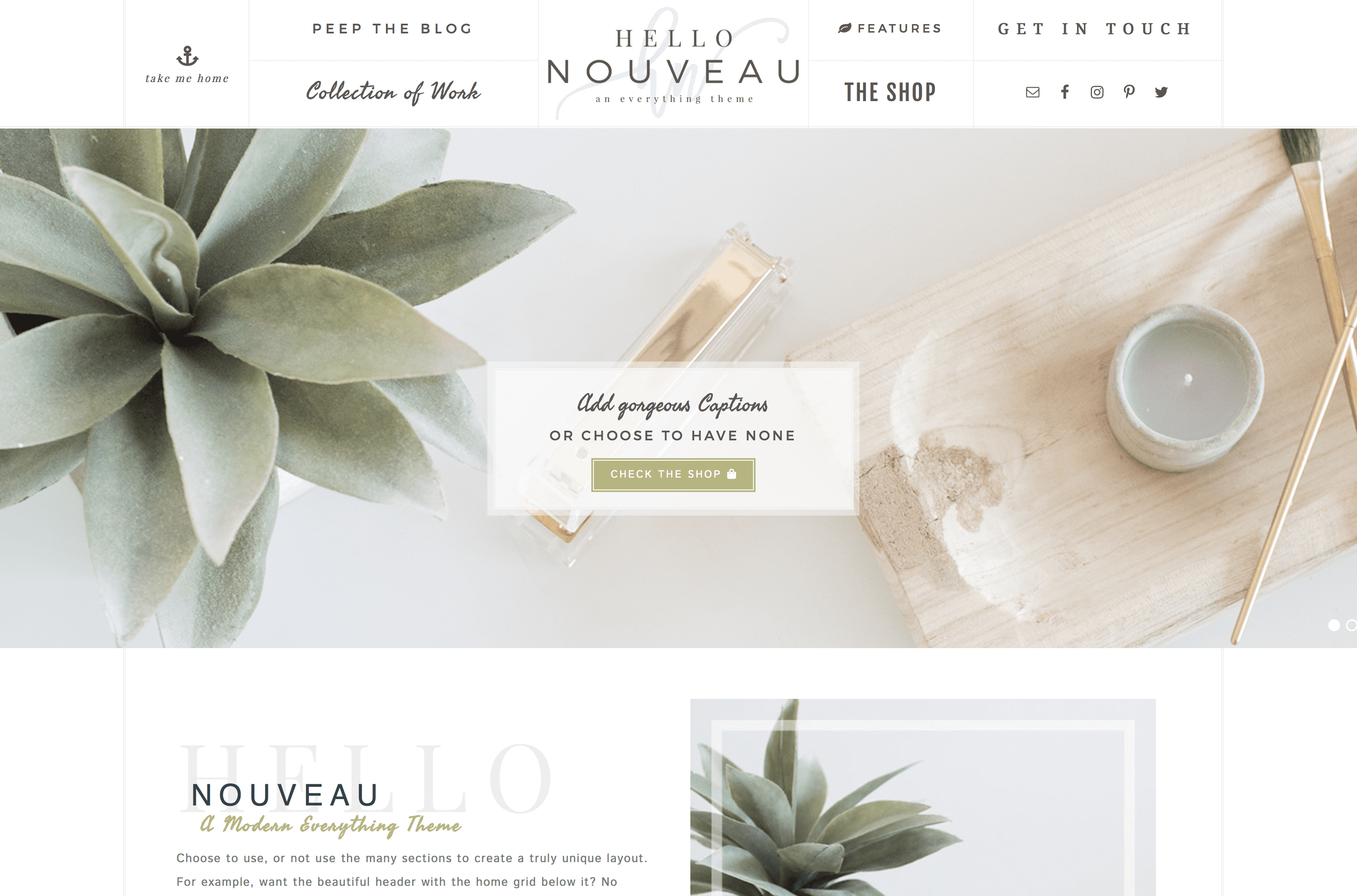 The 7 best pretty wordpress themes for women